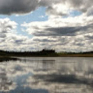 Meet your Posher, Koru